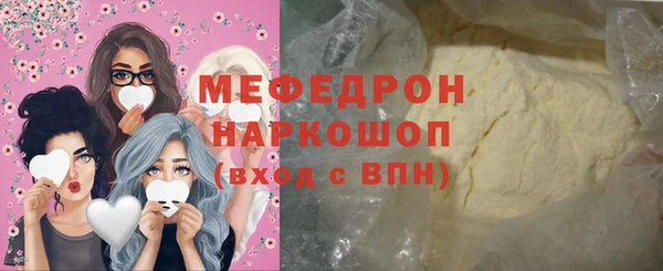 мдпв Гусев