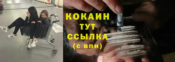 ешки Гусь-Хрустальный
