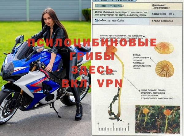 гидропоника Баксан
