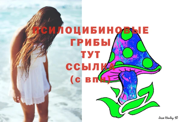 альфа пвп Каменка