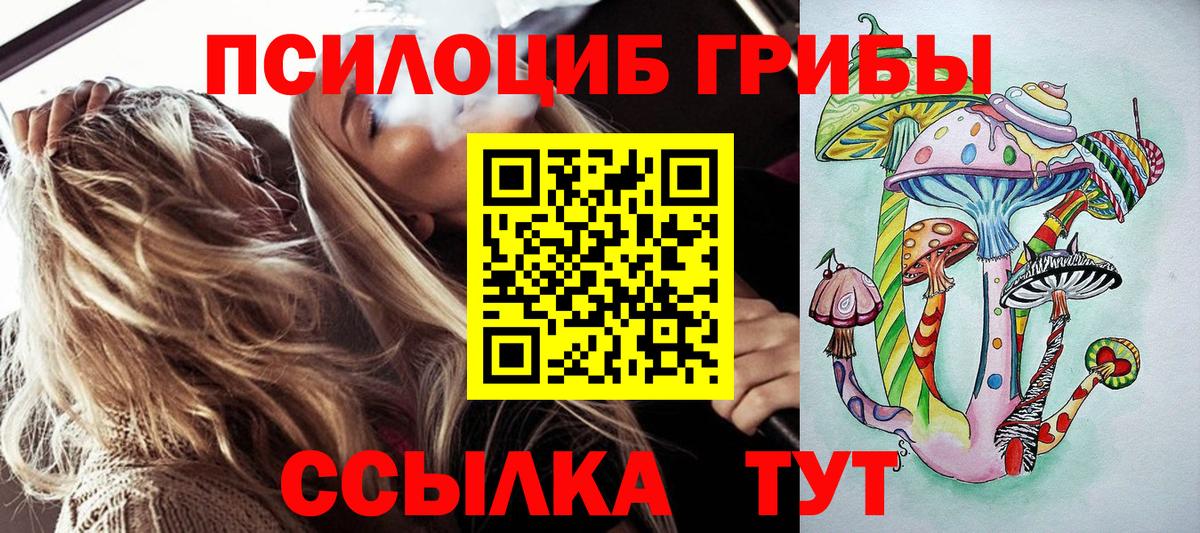 Галлюциногенные грибы Cubensis Усть-Джегута