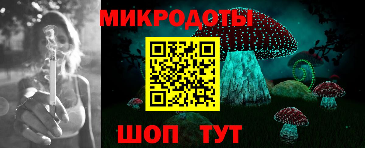 Усть-Джегута  Галлюциногенные грибы Psilocybe  Вход с VPN 